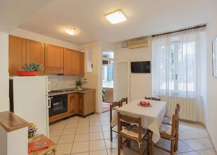 Lentisco Centro By Elbasummer